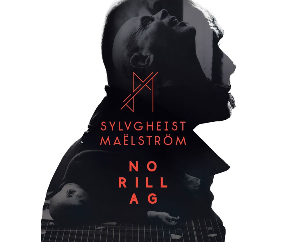 SYLVGHEIST MAËLSTRÖM feat Moogulator Track Collab
