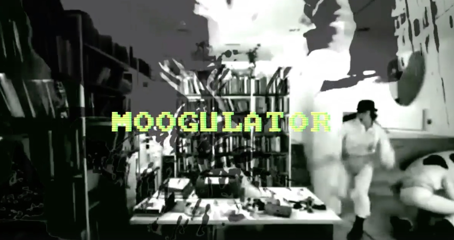 LSB TV Moogulator